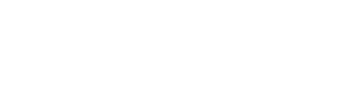 VNE
